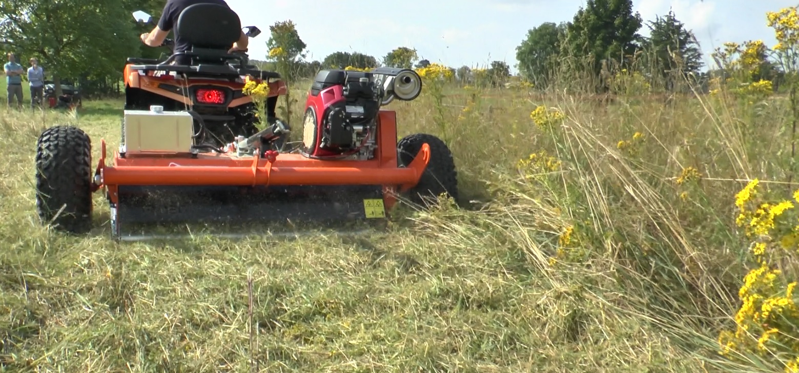 FM120 TOPPING RAGWORT.jpg